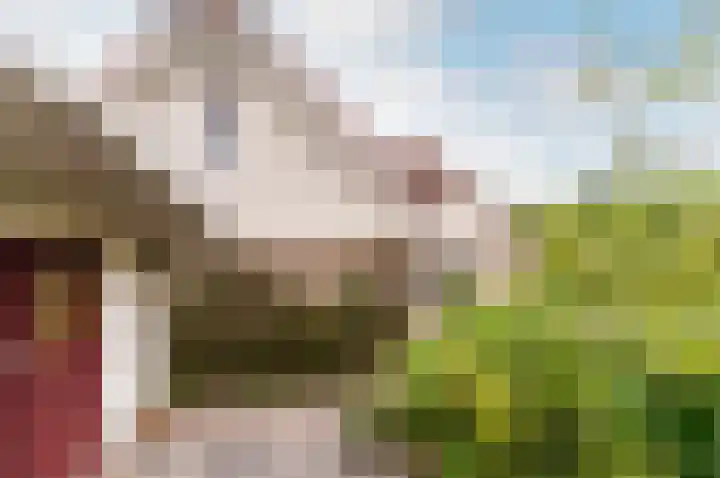 Langevelderslag 12 Lelystad thumbnail 56