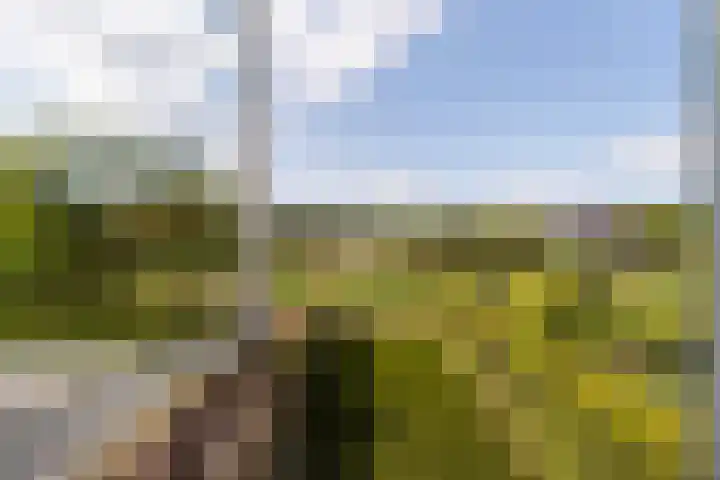Langevelderweg 141 Noordwijkerhout thumbnail 22