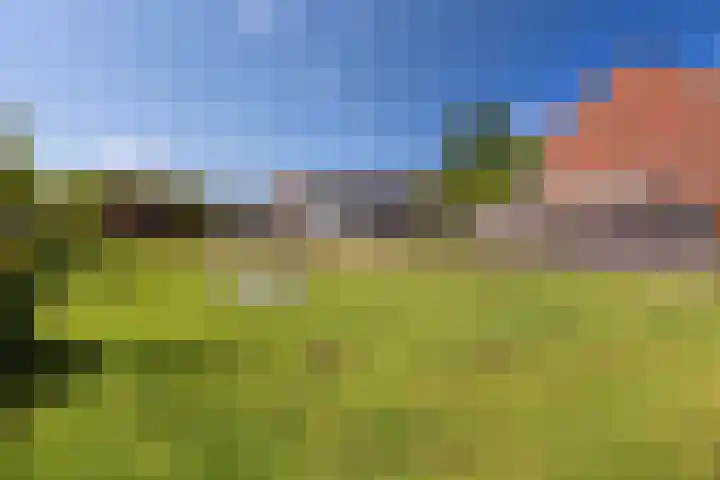 Langevelderweg 141 Noordwijkerhout thumbnail 33
