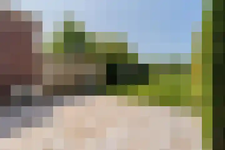 Langevelderweg 141 Noordwijkerhout thumbnail 6