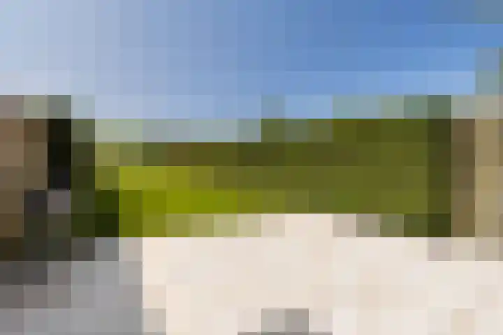 Langevelderweg 141 Noordwijkerhout thumbnail 7