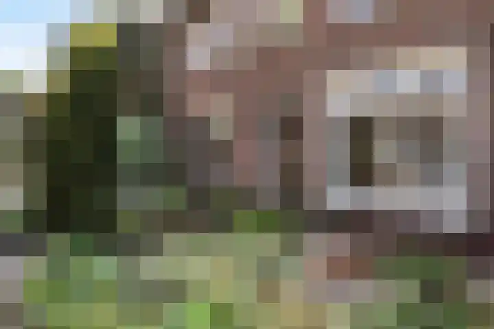 Langeveldstraat 7 Schoonoord thumbnail 31