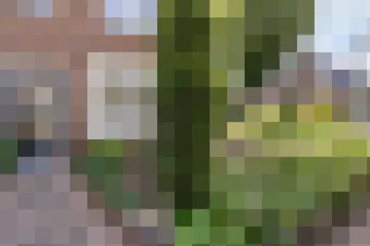 Langeveldstraat 7 Schoonoord thumbnail 32