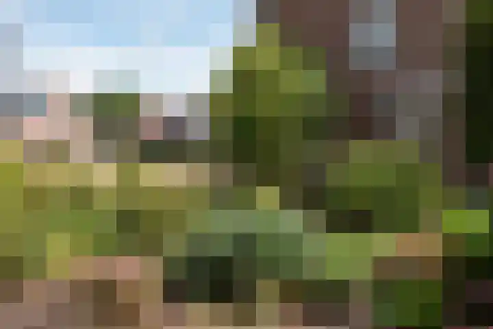 Langeveldstraat 7 Schoonoord thumbnail 33