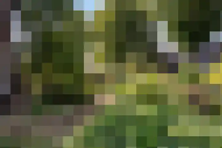 Langeveldstraat 7 Schoonoord thumbnail 34