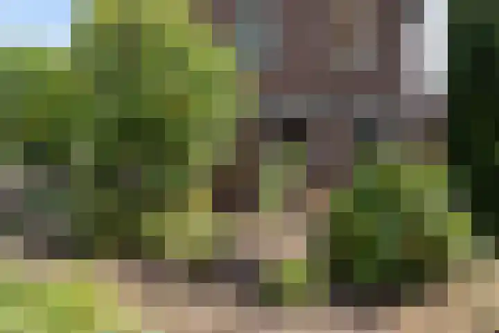Langeveldstraat 7 Schoonoord thumbnail 36