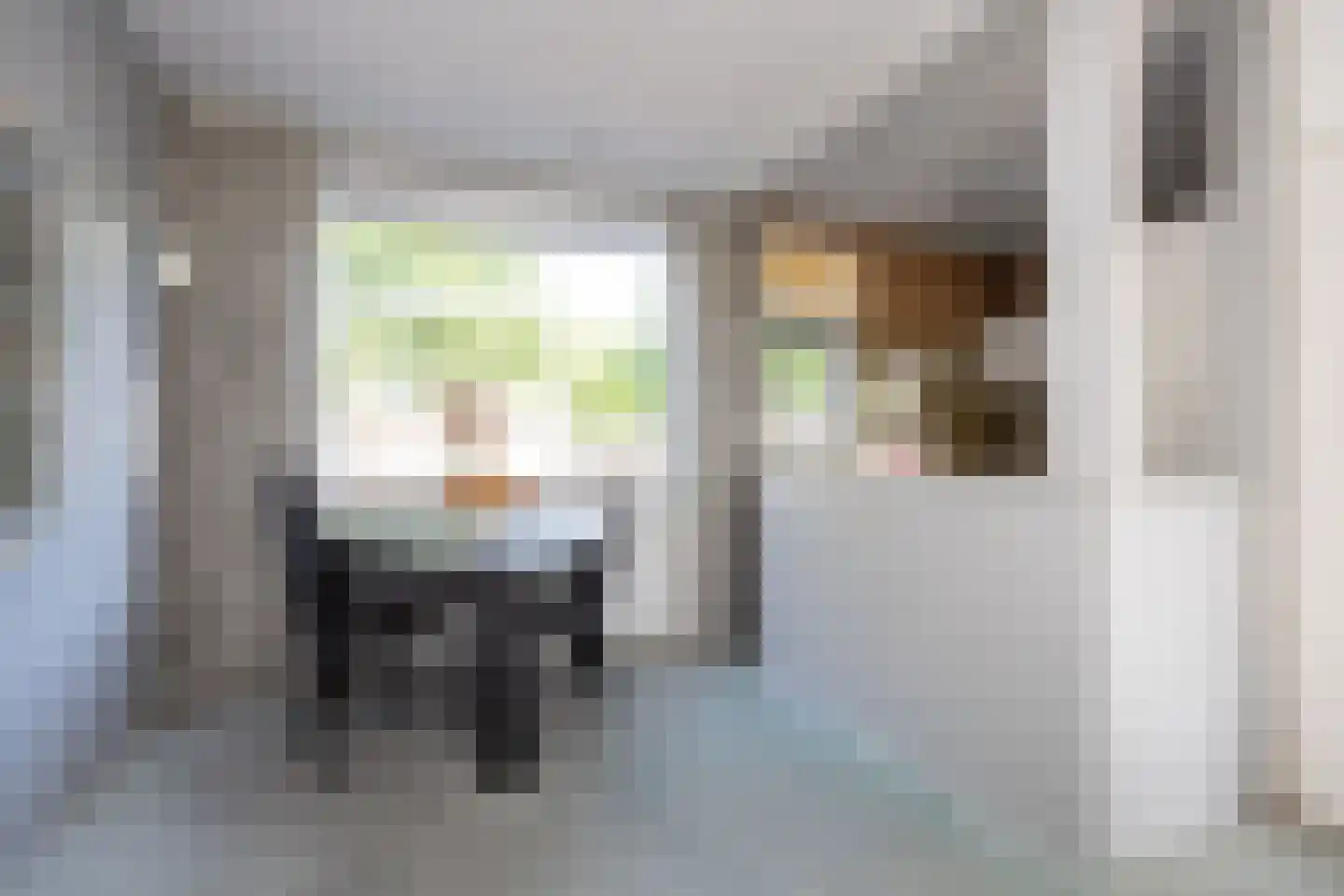 Langeveldstraat 8 Berkel en Rodenrijs thumbnail 15