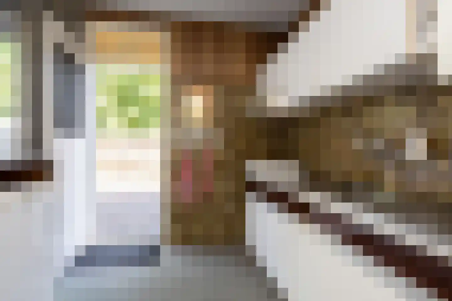 Langeveldstraat 8 Berkel en Rodenrijs thumbnail 17