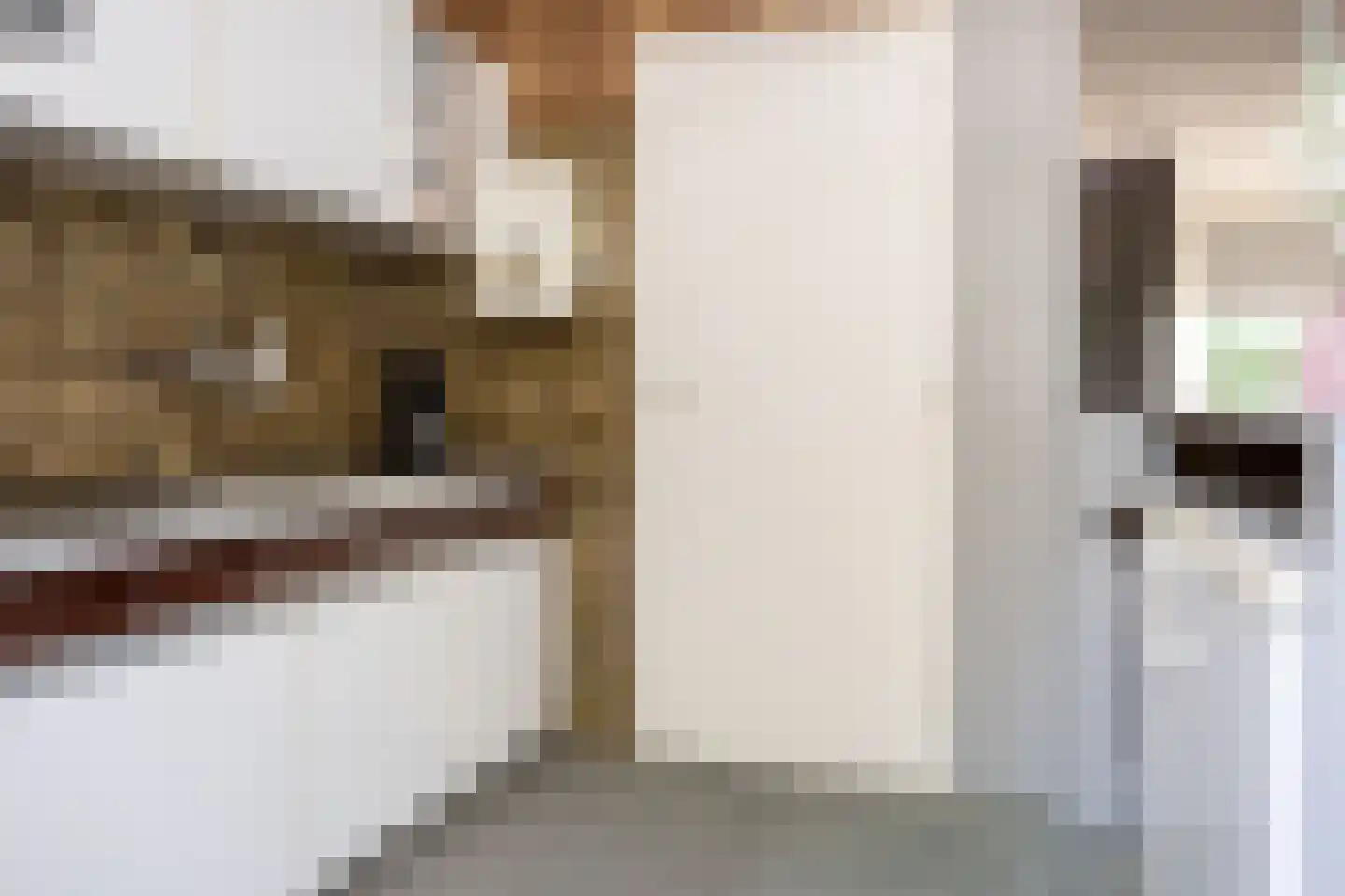 Langeveldstraat 8 Berkel en Rodenrijs thumbnail 18