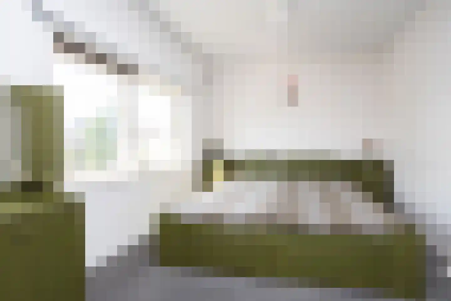 Langeveldstraat 8 Berkel en Rodenrijs thumbnail 19
