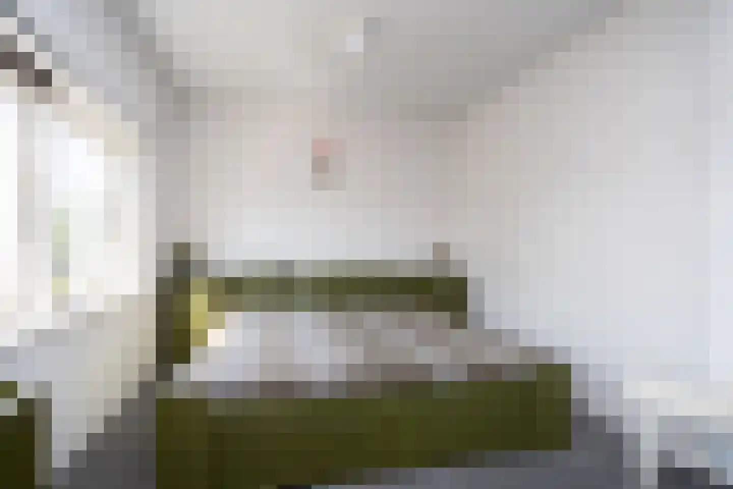 Langeveldstraat 8 Berkel en Rodenrijs thumbnail 26