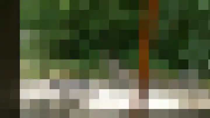 Langeven 9 Haelen thumbnail 17