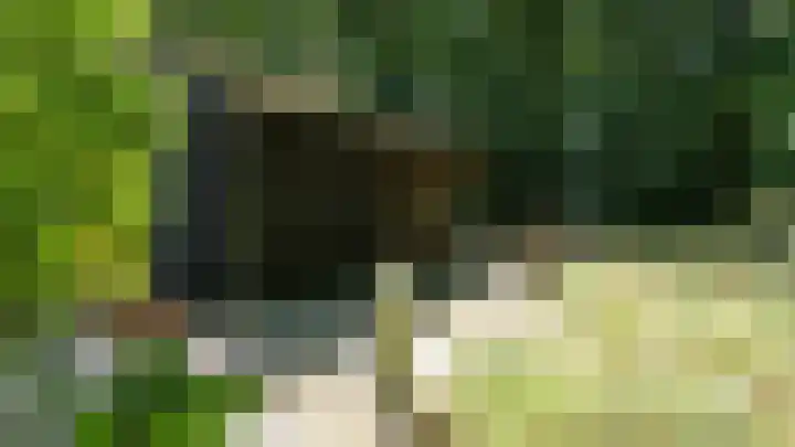 Langeven 9 Haelen thumbnail 18