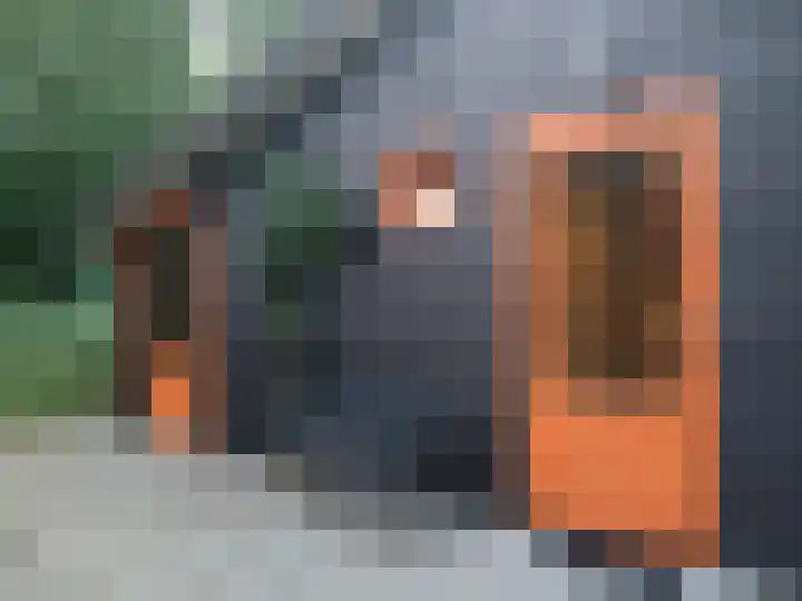 Langeven 9 Haelen thumbnail 19