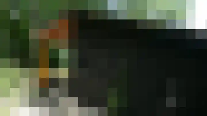 Langeven 9 Haelen thumbnail 20