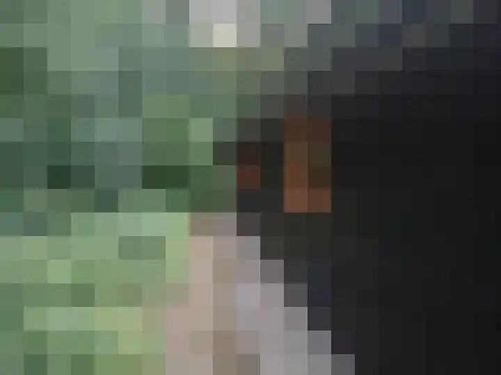 Langeven 9 Haelen thumbnail 21