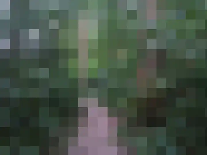 Langeven 9 Haelen thumbnail 22