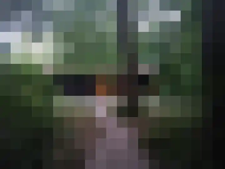 Langeven 9 Haelen thumbnail 23