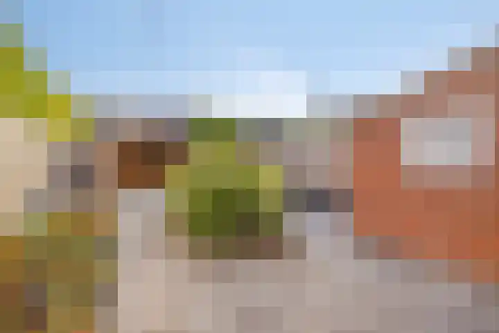 Langeviele 10 Kruiningen thumbnail 19