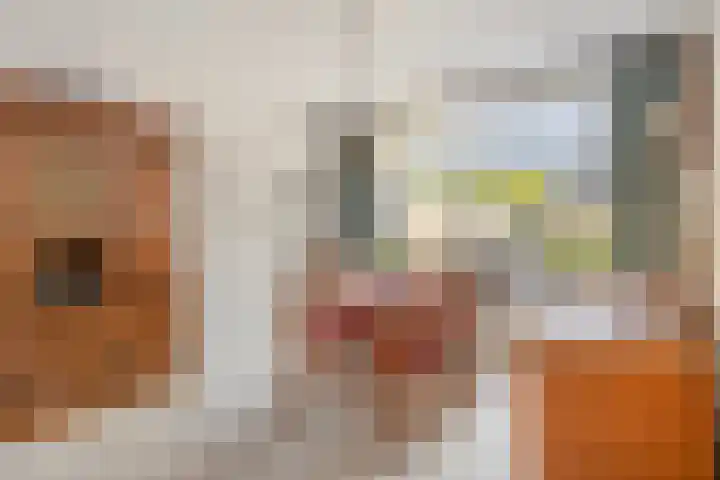 Langeviele 10 Kruiningen thumbnail 4