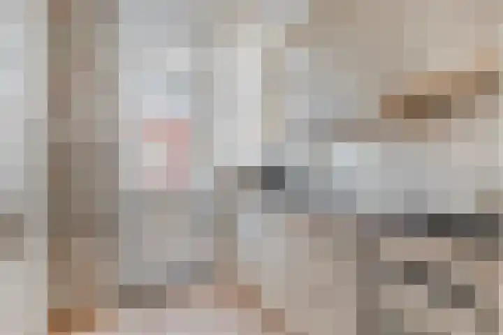 Langeviele 10 Kruiningen thumbnail 9