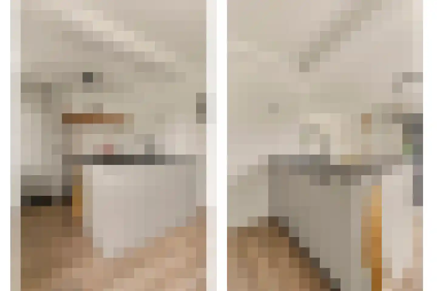 Langeviele 2 Kruiningen thumbnail 16