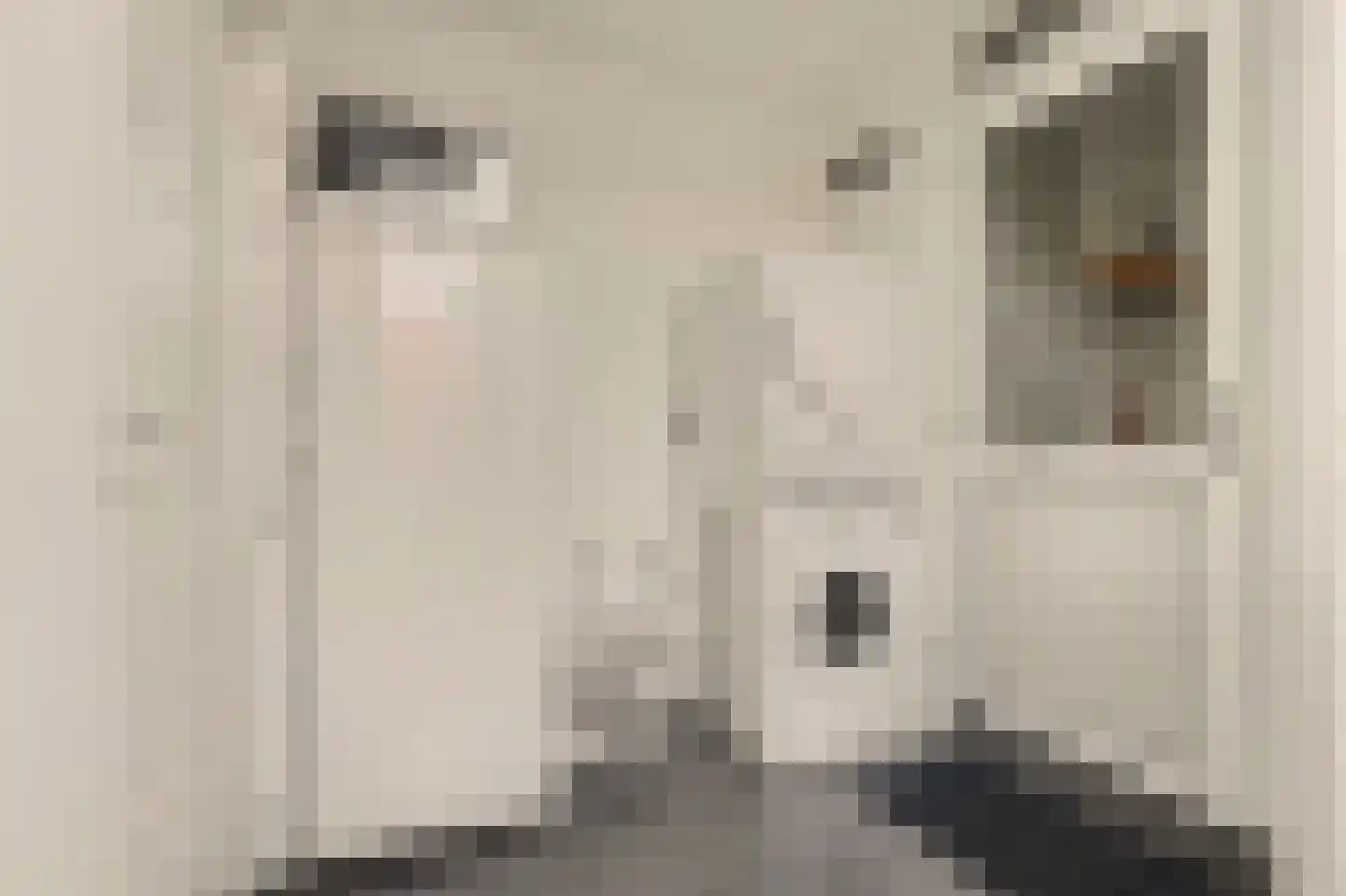 Langeviele 2 Kruiningen thumbnail 17
