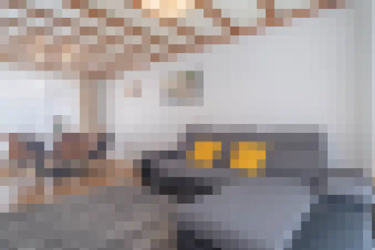 Langeviele 24 Kruiningen thumbnail 8