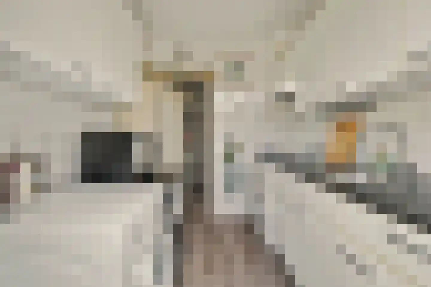 Langeviele 33 Kruiningen thumbnail 17