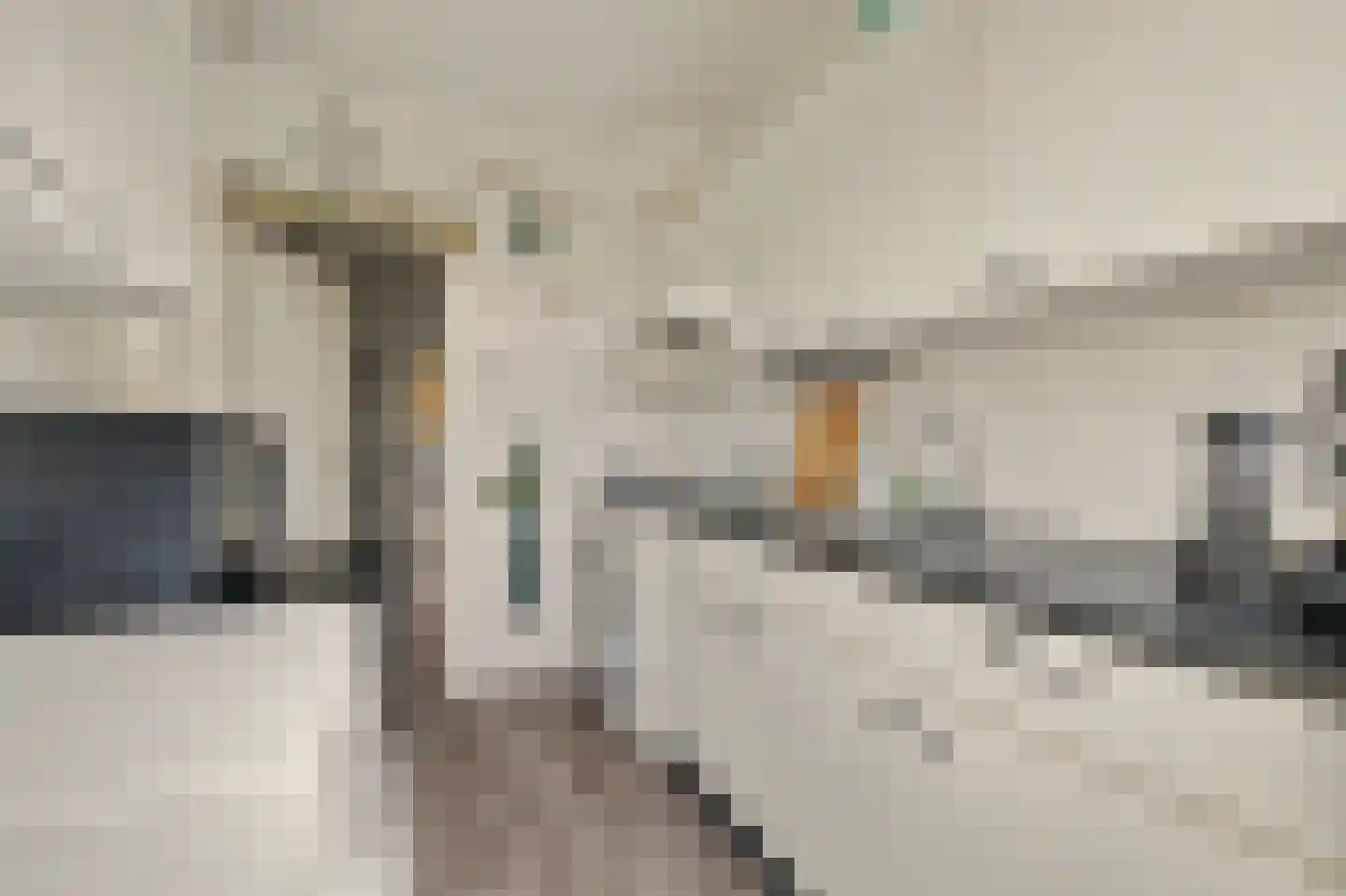 Langeviele 33 Kruiningen thumbnail 18