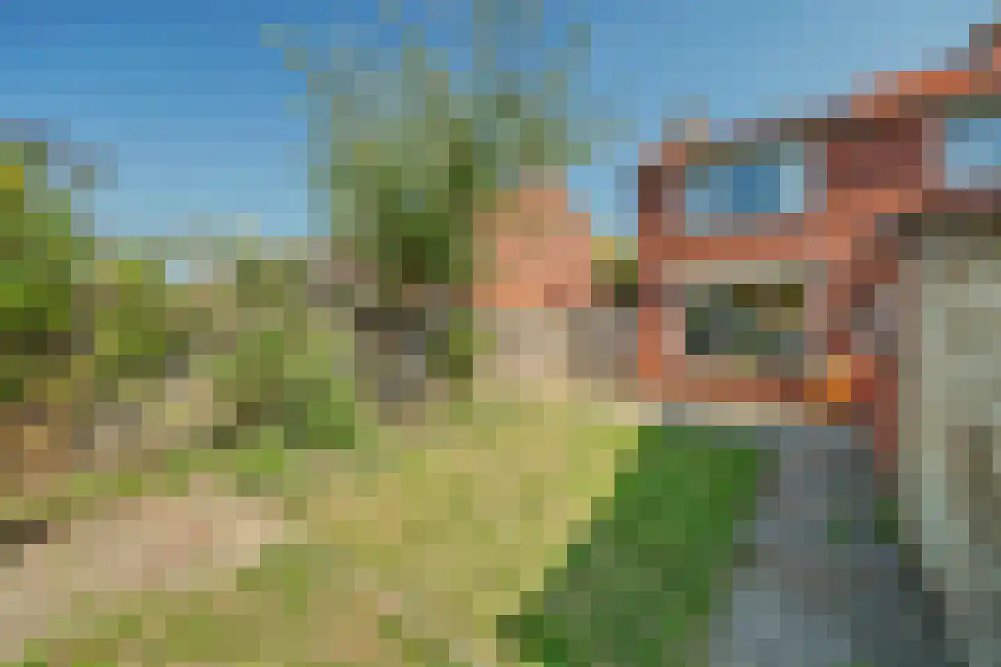 Langeviele 33 Kruiningen thumbnail 33