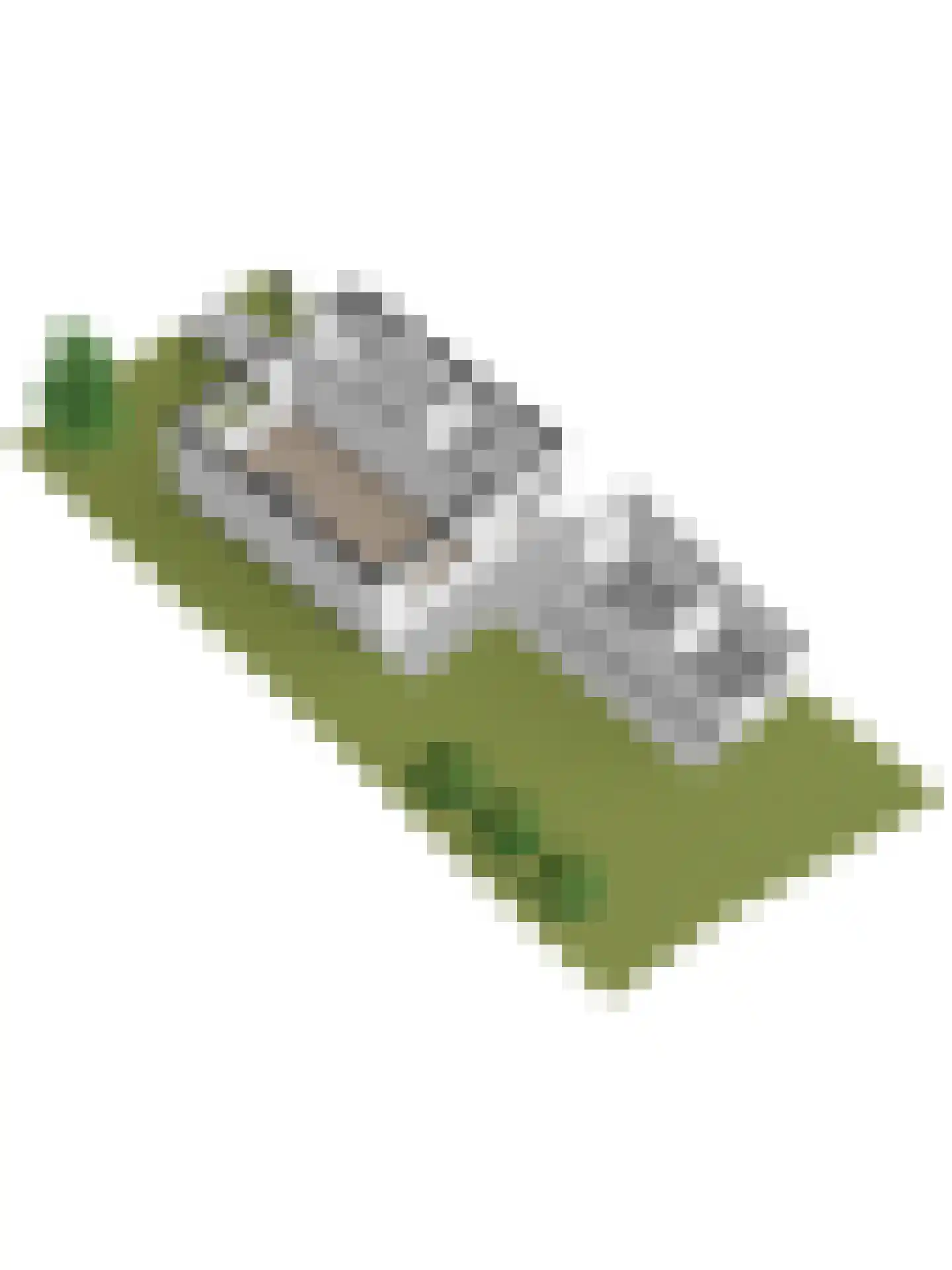 Langeviele 33 Kruiningen thumbnail 53