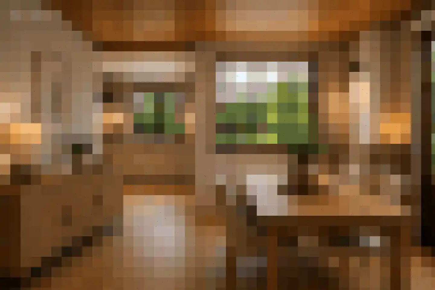 Langeviele 40 Ellewoutsdijk thumbnail 10
