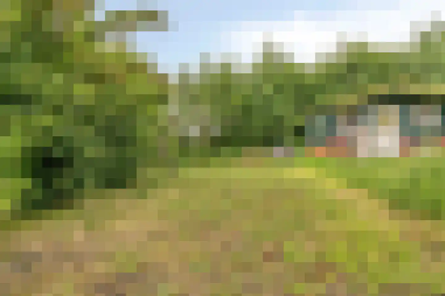 Langeviele 40 Ellewoutsdijk thumbnail 20