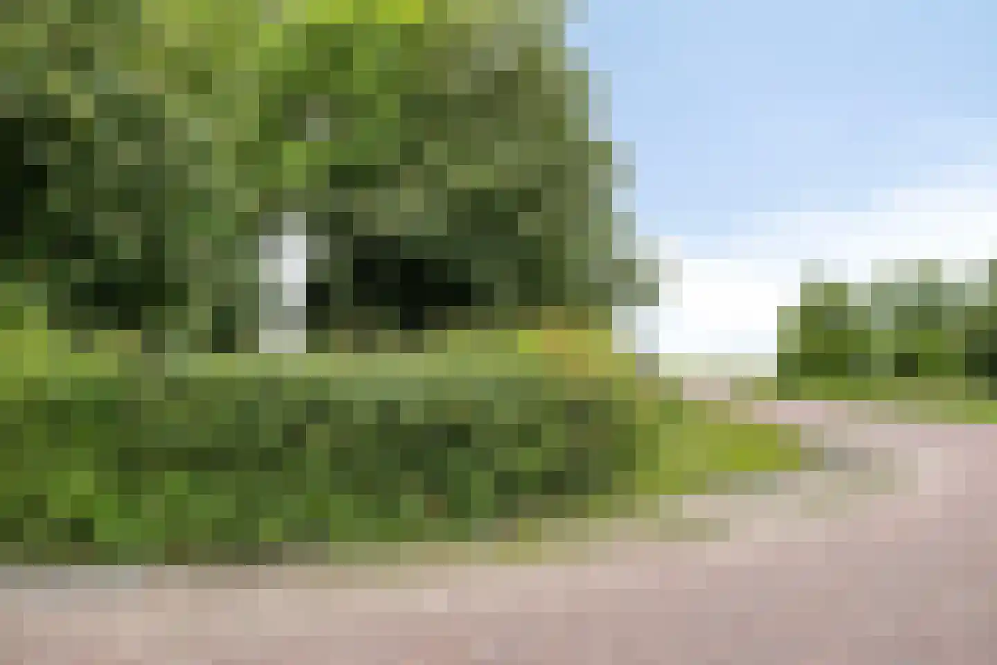 Langeviele 40 Ellewoutsdijk thumbnail 24