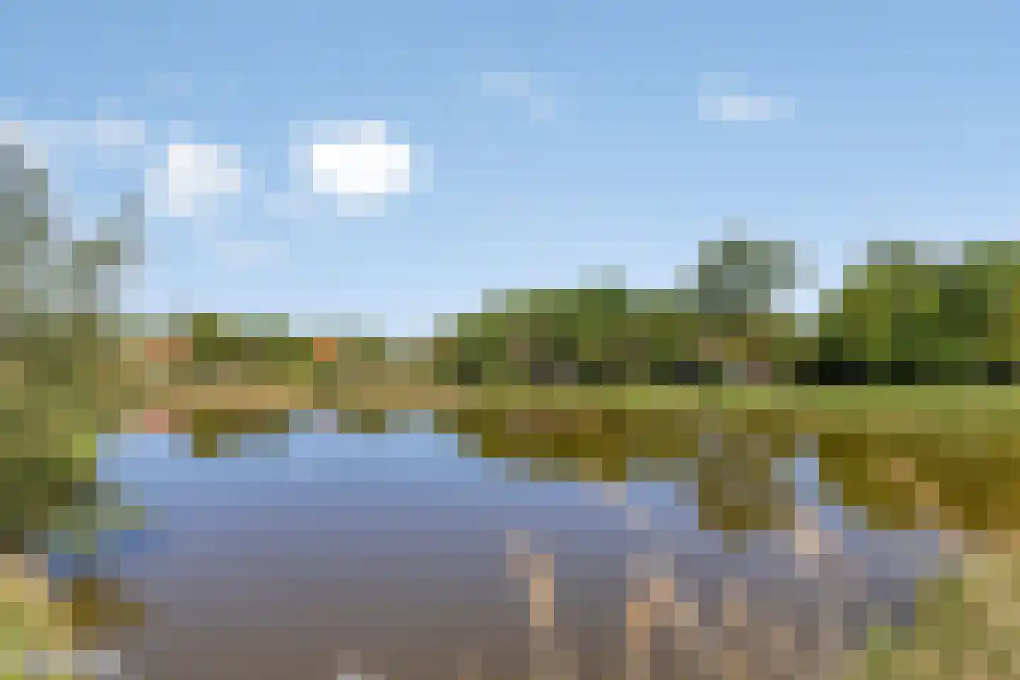 Langeviele 40 Ellewoutsdijk thumbnail 25