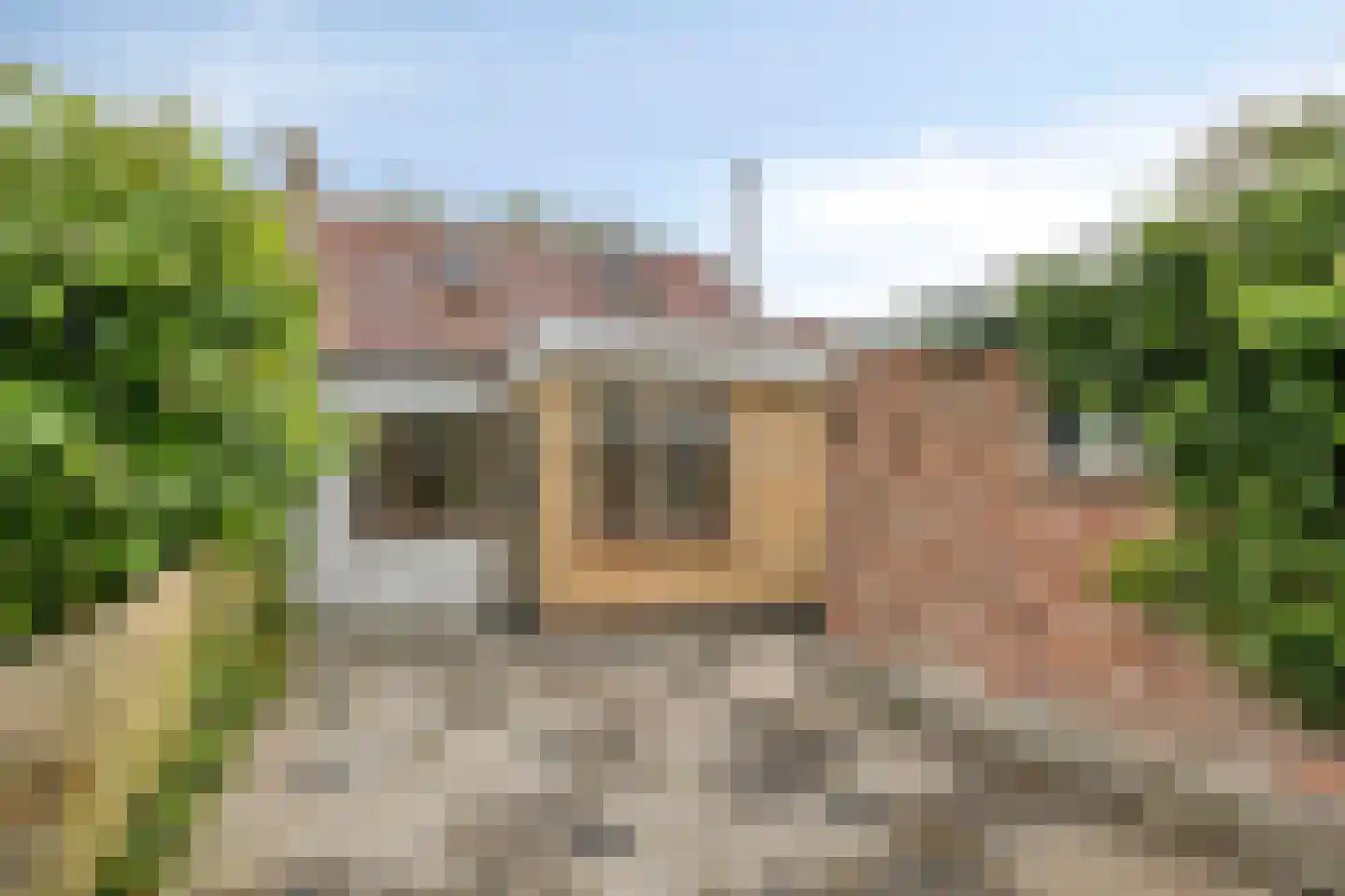 Langeviele 40 Ellewoutsdijk thumbnail 4