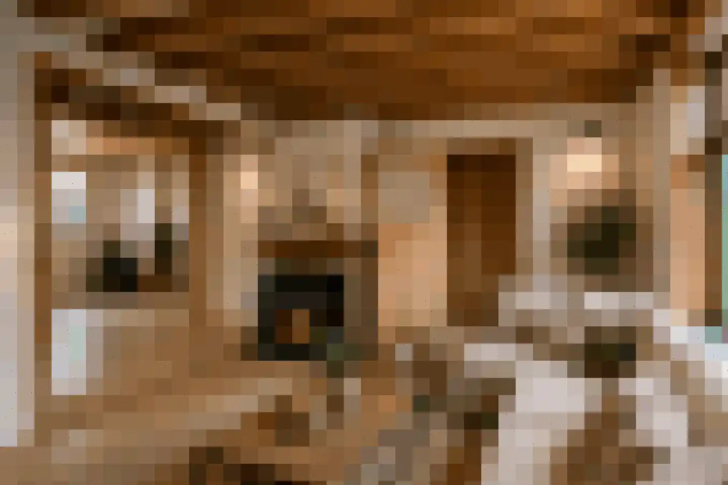 Langeviele 40 Ellewoutsdijk thumbnail 6