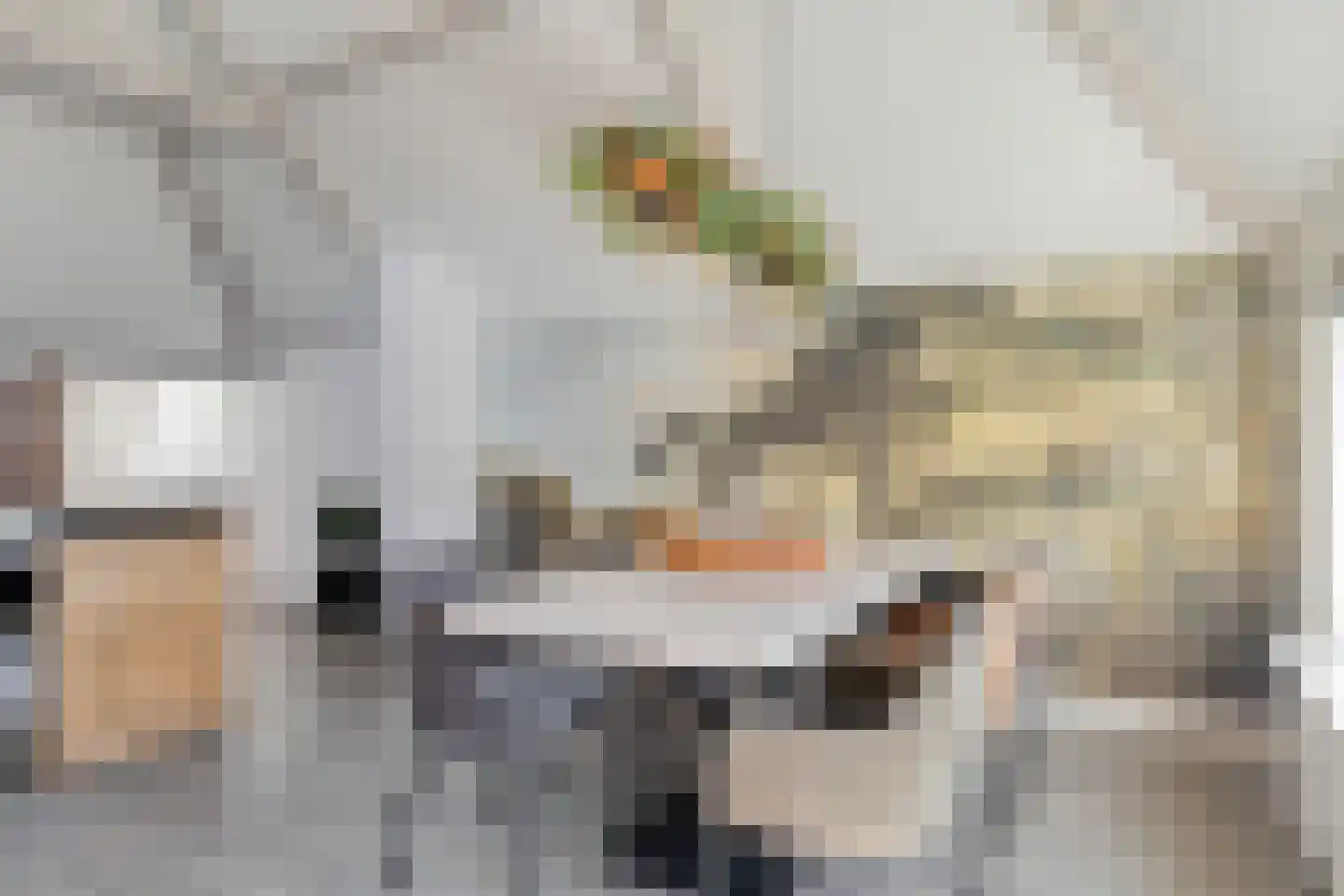 Langeviele 47 Middelburg thumbnail 30