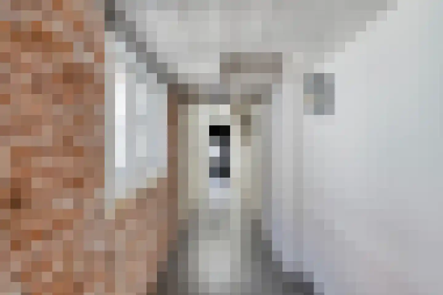 Langeviele 47 Middelburg thumbnail 32