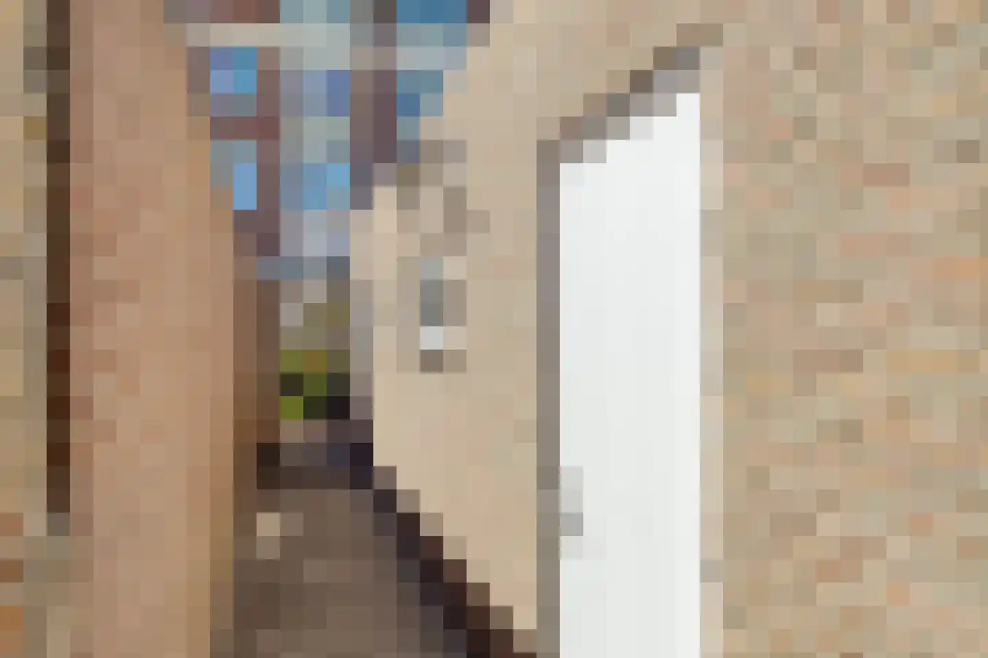 Langeviele 47 Middelburg thumbnail 42