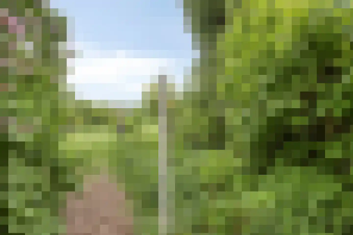 Langeviele 52 Ellewoutsdijk thumbnail 23