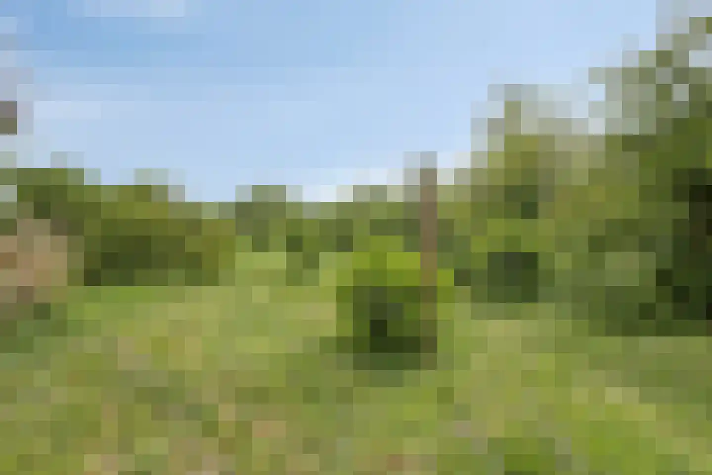 Langeviele 52 Ellewoutsdijk thumbnail 24