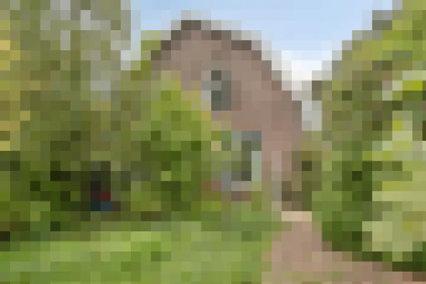 Langeviele 52 Ellewoutsdijk thumbnail 25