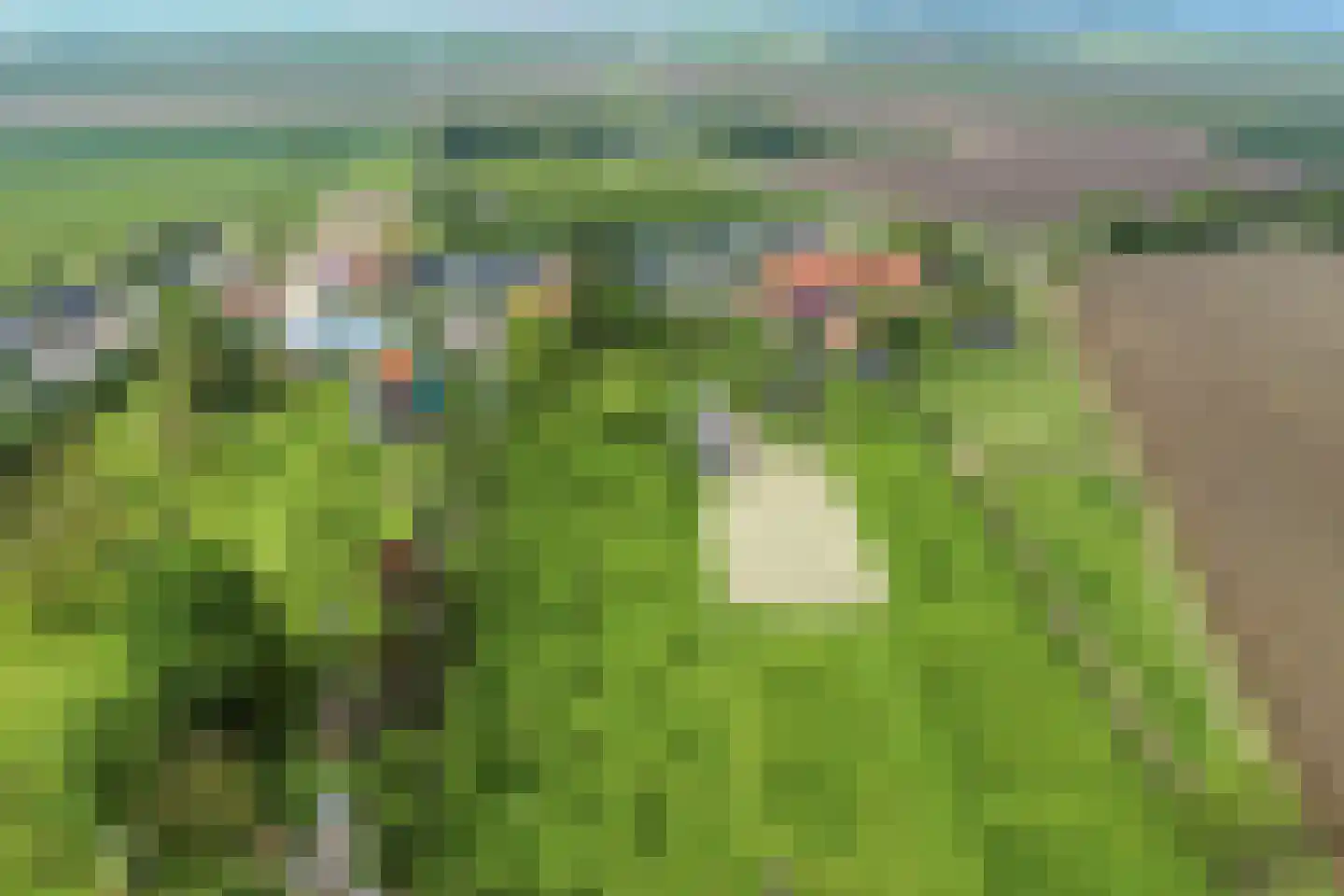 Langeviele 52 Ellewoutsdijk thumbnail 27
