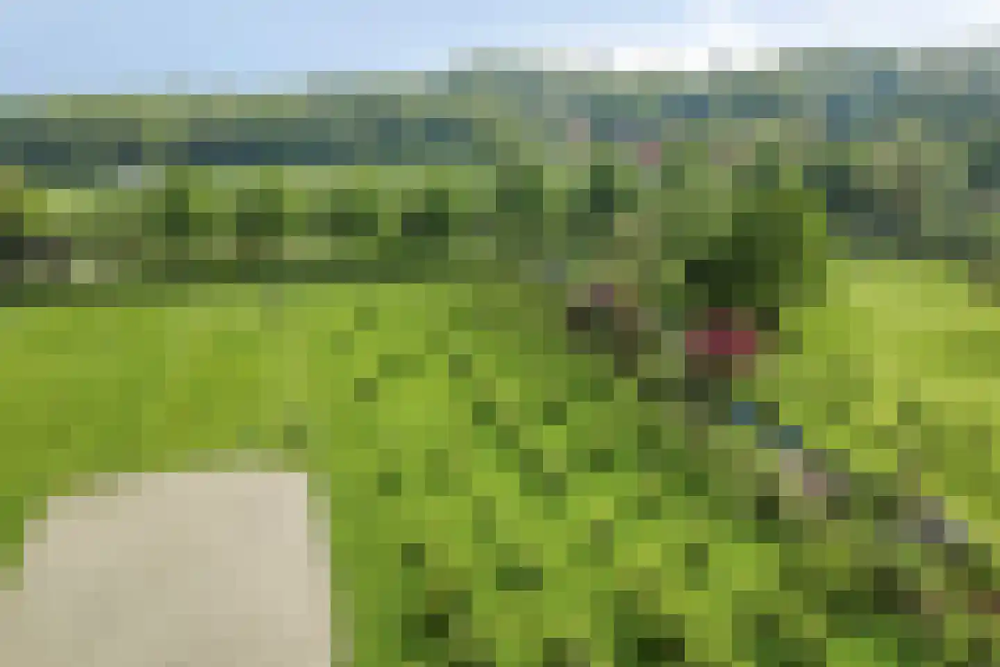 Langeviele 52 Ellewoutsdijk thumbnail 30