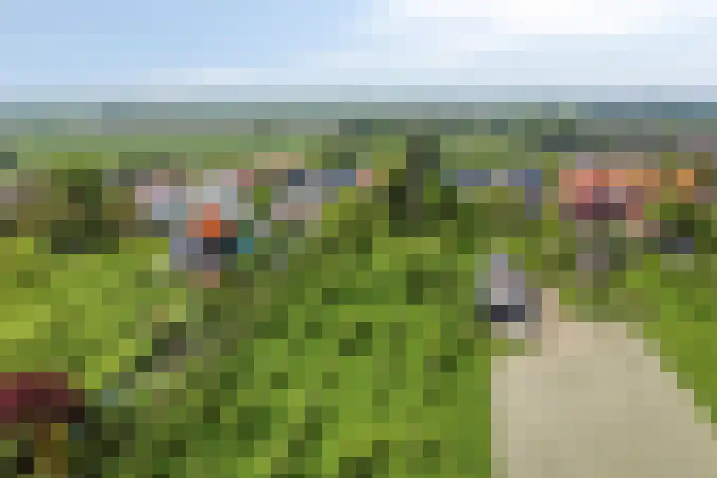 Langeviele 52 Ellewoutsdijk thumbnail 31