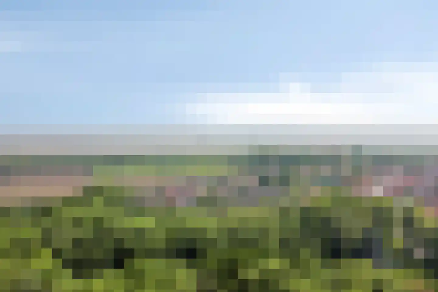 Langeviele 52 Ellewoutsdijk thumbnail 33