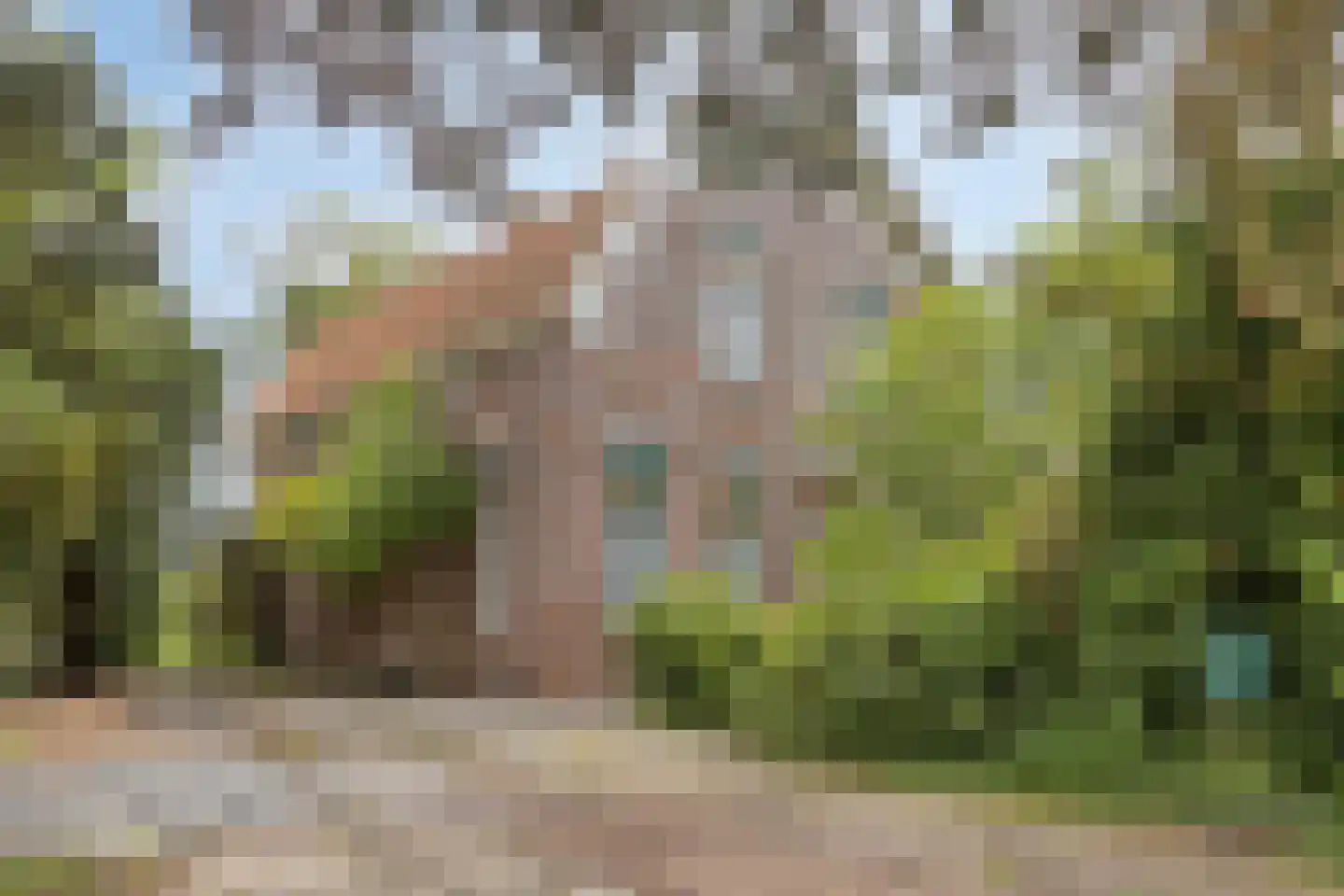 Langeviele 52 Ellewoutsdijk thumbnail 4