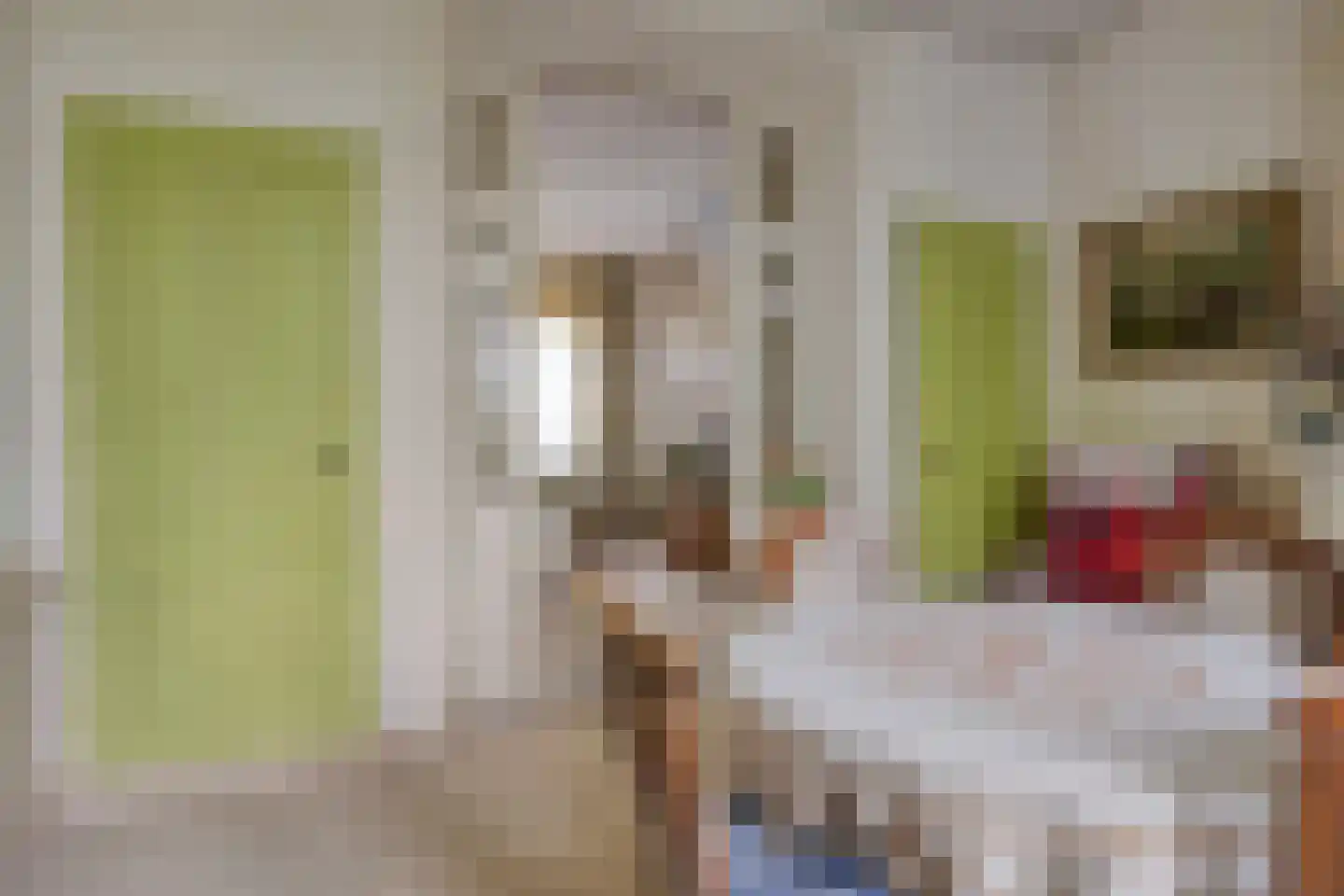 Langeviele 52 Ellewoutsdijk thumbnail 9